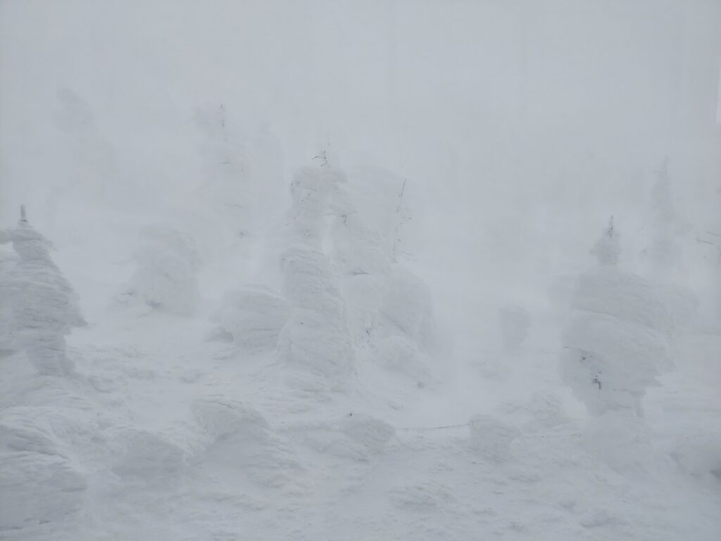 天気が悪い日の蔵王樹氷