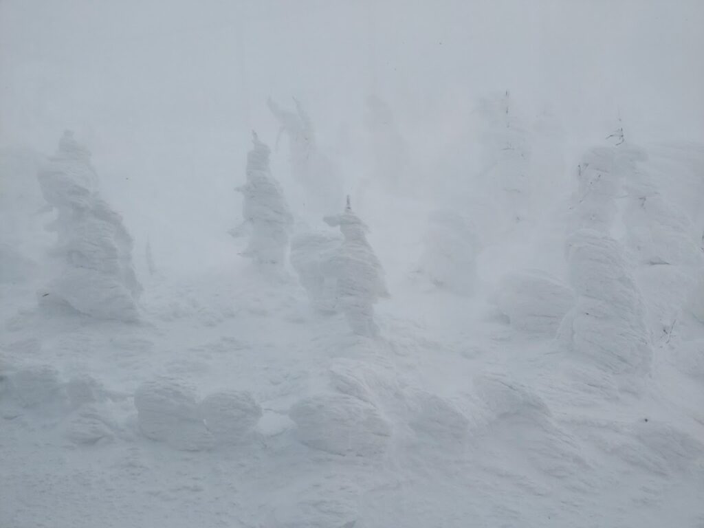 天気が悪い日の蔵王樹氷